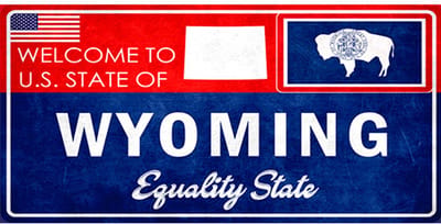 Signs-USA - Souvenir Kentekenplaat - metaal - Wyoming - 15 x 30 cm