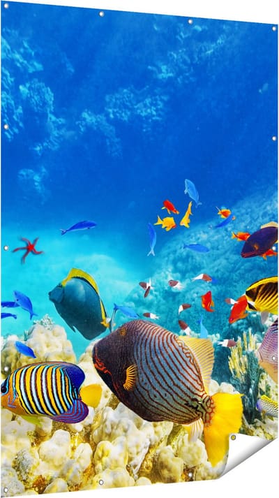 Gards Tuinposter Vissen in de Oceaan met Koralen - 120x180 cm - Tuindoek - Tuindecoratie - Wanddecoratie buiten - Tuinschilderij