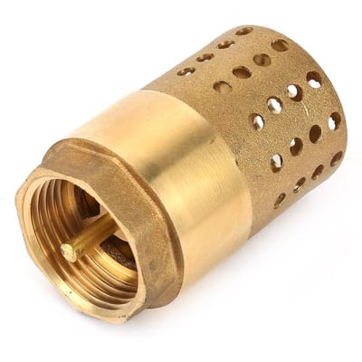 Messing Eenzijdige Binnendraad Voetklep Gaas Terugslagklep met Gaten Zeef Filter DN25