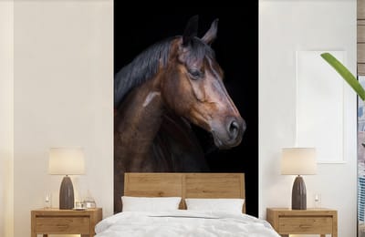 Behang kinderkamer - Fotobehang Paarden - Dieren - Portret - Bruin - Breedte 120 cm x hoogte 240 cm - Kinderbehang