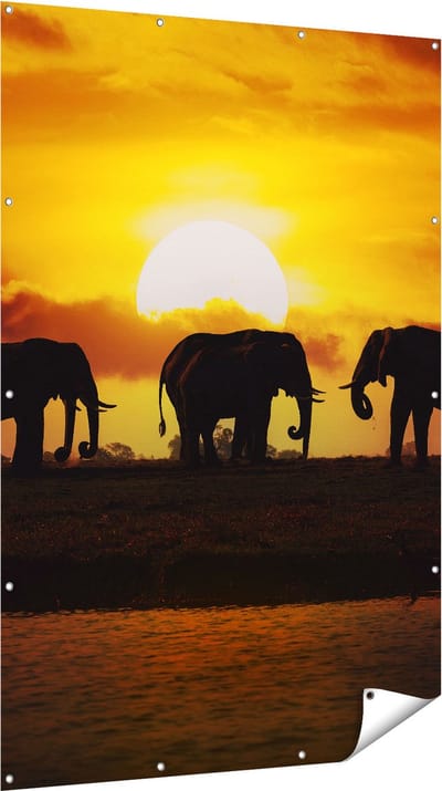 Gards Tuinposter Silhouet Olifanten tijdens Zonsondergang - 120x180 cm - Tuindoek - Tuindecoratie - Wanddecoratie buiten - Tuinschilderij