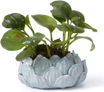 Famanu – Bloempot keramiek lotusvorm rond 15 cm voor kamerplanten blauw