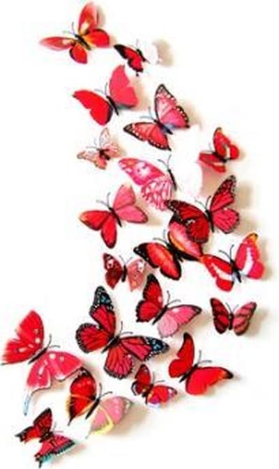 3D Vlinders - Muurdecoratie - Mix Rood