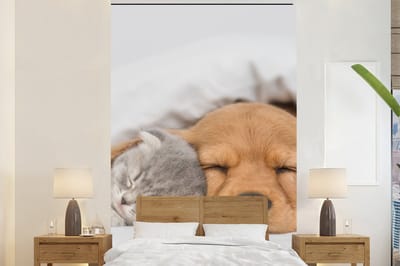 Behang - Fotobehang huisdieren - hond - Kat - Deken - Breedte 195 cm x hoogte 300 cm