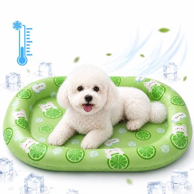 Koelmat voor Honden - Zelfkoelende Hondenmat - Zomer Koelkussen - Gelkoelbed - Fysieke Koeling - Hoge Rand - PVC Waterdicht - Voor Katten & Kleine Honden - Geen Elektriciteit - Groen Met Limoen & Beer - 72x48cm - 1 Stuk