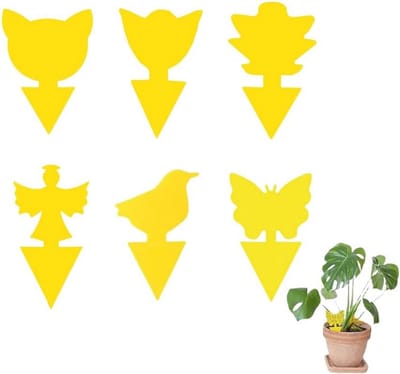 60 stuks Effectieve Muggen- en Vliegenvallen voor Binnenplanten - Milieuvriendelijk en Veilig