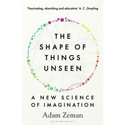 The Shape Of Things Unseen - Adam Zeman