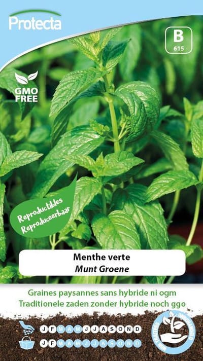 Protecta Kruiden zaden: Munt Groene