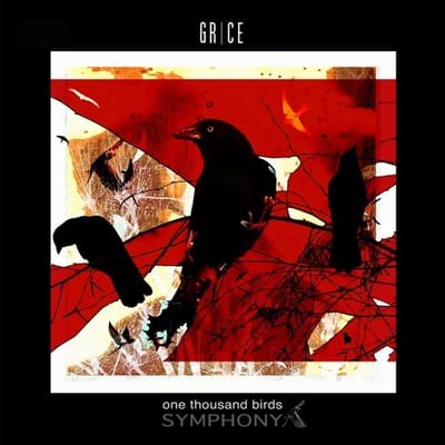Grice - One Thousand Birds Symphony (CD)