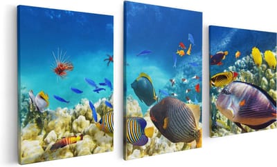 Artaza Canvas Schilderij Drieluik Vissen in de Oceaan met Koralen - 120x60 - Foto Op Canvas - Canvas Print
