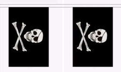 Vlaggenlijn Skull and Bones - 9 meter