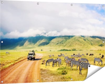 Gards Tuinposter Safari Auto tussen de Zebra's - 120x80 cm - Tuindoek - Tuindecoratie - Wanddecoratie buiten - Tuinschilderij