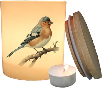 Geurfruit - Waxinelichthouder - Vogel - Vink