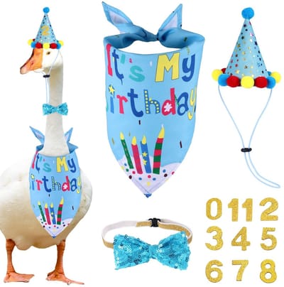 Dailygoods- ganzen kostuum verjaardag decoratie - ganzenbandana - hoed - strik - nummerstickers - polyester - Verjaardagsdecoratie