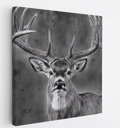 Saammp Canvas Schilderij - Hert - Abstract - Dieren - 20x20 - Foto op canvas - Wanddecoratie - Muurdecoratie Woonkamer - Slaapkamer decoratie - Canvas Print