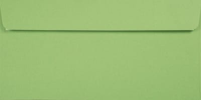 Gladde groene enveloppen DL - 110 x 220 mm - 100 stuks - HK zelfklevend met plakstrip - 120 gram - Kreative - Netuno