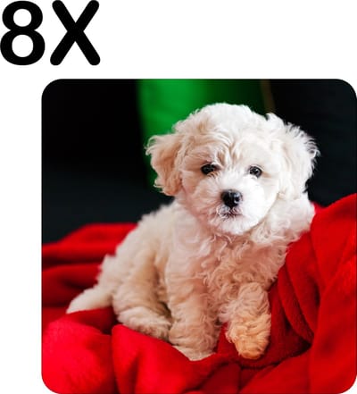 Luxe Placemat - Bichon Frise - Witte Hond op Rode Deken - Set van 8 Placemats - 50x50 cm - 2 mm dik Vinyl - Anti Slip - Afneembaar