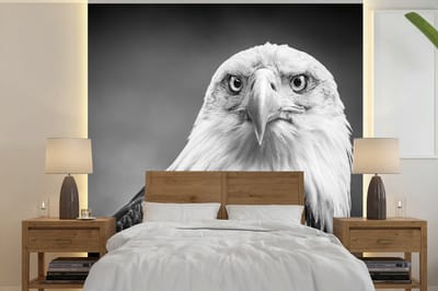 Behang - Fotobehang Arend - Roofvogel - Zwart - Wit - Dieren - Breedte 300 cm x hoogte 300 cm