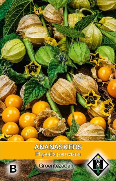 Van Hemert - Ananaskers (Physalis peruviana)