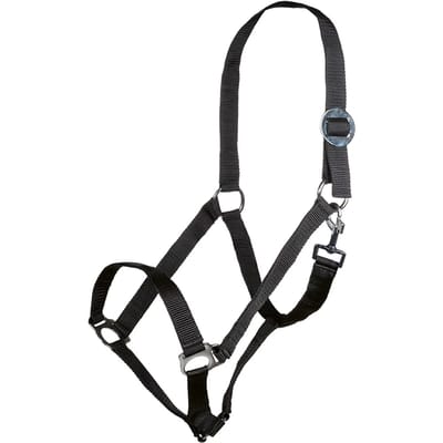 Halster voor paarden HKM Stars Economy