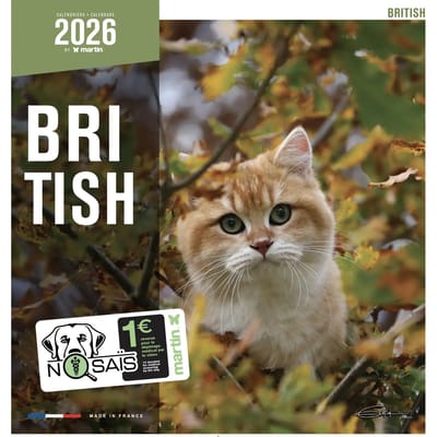 Kalender Martin Sellier British