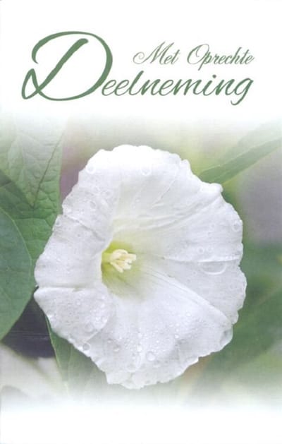 Condoleance Wenskaart - Met Oprechte Deelneming - D12145 - Gratis verzonden