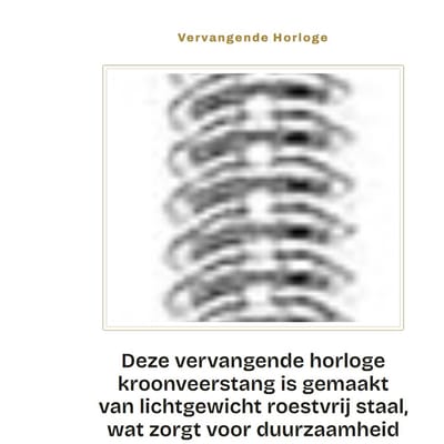 Dailygoods - Vervangende Horloge Kroonveerstang van Roestvrij Staal