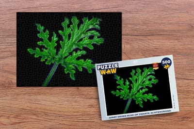 Puzzel Apart groen blad op zwarte achtergrond - Legpuzzel - Puzzel 500 stukjes
