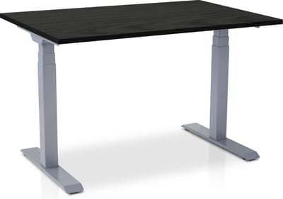 Zit-sta bureau elektrisch verstelbaar - MRC PRO NEN-EN 527 | 120 x 80 cm | frame aluminium - blad zwart eiken - met kabelmanagement | memory functie met USB | 150kg draagvermogen