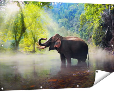 Gards Tuinposter Olifant in het Water - 120x80 cm - Tuindoek - Tuindecoratie - Wanddecoratie buiten - Tuinschilderij