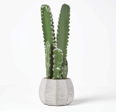 Homescapes Kunstcactus Echinopsis Peruviana in cementpot, 49 cm hoog