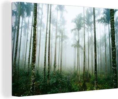 Canvas schilderij 150x100 cm - Wanddecoratie Een bos met palmbomen en mist - Muurdecoratie woonkamer - Slaapkamer decoratie - Kamer accessoires - Schilderijen
