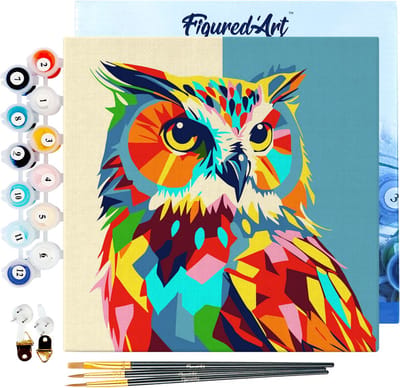 Figured'Art Mini Schilderen op Nummer Volwassenen 20x20cm met lijst Uil Abstracte Pop-Art - Klein Formaat Creatieve Hobby Kit DIY Art Nummer Compleet