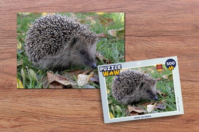 Puzzel Egel in gras - Legpuzzel - Puzzel 500 stukjes