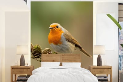 Behang - Fotobehang Vogel - Roodborstje - Dennenappel - Tak - Herfst - Breedte 205 cm x hoogte 280 cm