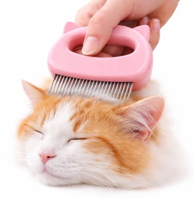Kattenborstel I Katten Kam I Luizenborstel I Luizenkam I Elastische Tanden I Klitten Kam I Kattenhaar Ontwarren & Verwijderen I Roze