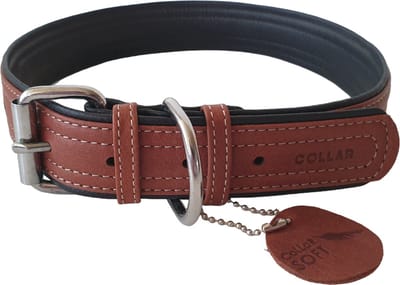 WAUDOG Soft Halsband / Hondenhalsband - Leder - Bruin - XL - Breedte: 35 mm - Nekomtrek: 57 - 71 cm (GELIEVE ALVORENS BESTELLEN OPMETEN)