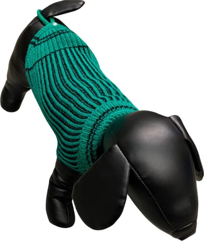 2in1 Hondentrui en regenjack Forest 29cm XS