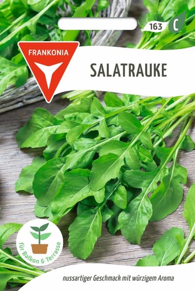 Rucola, rucola - groentezaden, slazaden, zaden