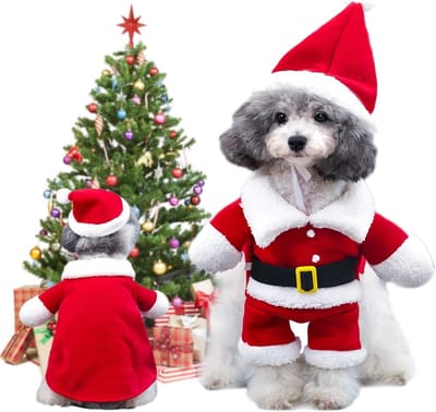 Kerstkostuum voor Honden en Katten - Santa Suit, Kerstman Cloak en Feestelijke Kleding voor Huisdieren