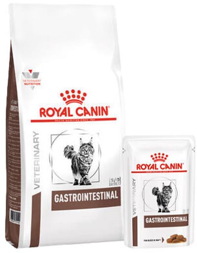 Royal Canin Gastro Intestinal Kat Combi bundel - 4 kg + 12 x 85 gr