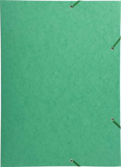 Exacompta 5x Elastomap met 3 kleppen in glanskarton 600gm2 - A3 - Groen - 59515E
