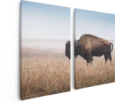 Artaza Canvas Schilderij Tweeluik Bizon in het Gras - 80x60 - Foto Op Canvas - Canvas Print