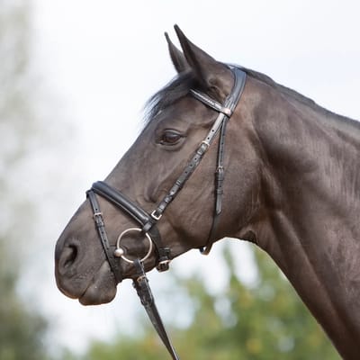 Gecombineerd hoofdstel met neusriem Kieffer Ultrasoft®