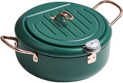 Frituurpan met Temperatuurregeling - Frietpan Frituurmandje - Thuis Frituren - Verwijderbaar Filterrek - 30x20x12cm - Groen