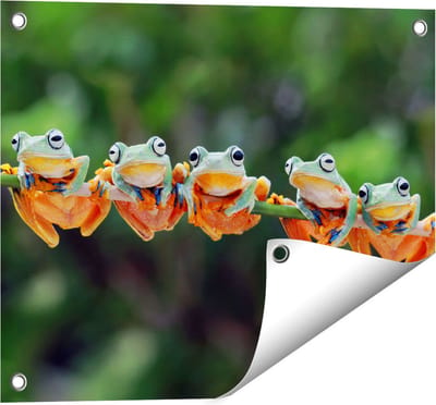Gards Tuinposter Groep Kikkers op een Tak - 50x40 cm - Tuindoek - Tuindecoratie - Wanddecoratie buiten - Tuinschilderij
