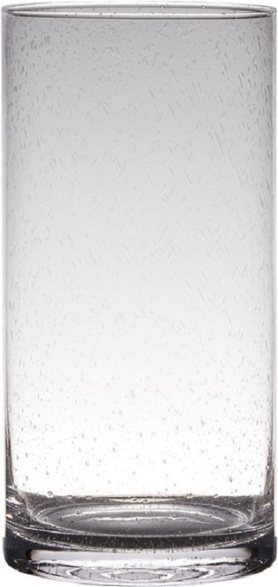 Transparante home-basics Cylinder vorm vaas/vazen van bubbel glas 30 x 15 cm - Bloemen/takken/boeketten vaas voor binnen gebruik