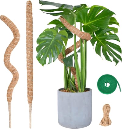 Famanu – Buigbare mosstok voor klimplanten, set van 2 flexibele plantenstokken van 60 cm voor monstera en kamerplanten