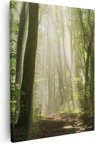 Artaza Canvas Schilderij Bos - 80x100 cm - Groot - Wanddecoratie Zonnestralen - Muurdecoratie Bomen - Schilderijen Natuur