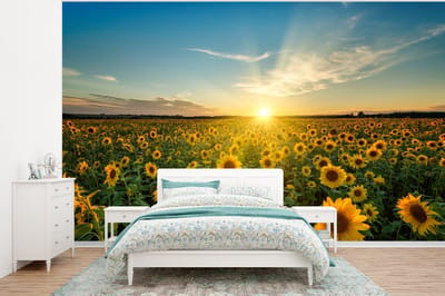 Behang - Fotobehang Zonsondergang - Bloemen - Zonnebloem - Horizon - Landschap - Breedte 375 cm x hoogte 280 cm